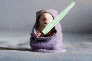 Jedi-Mouse for web